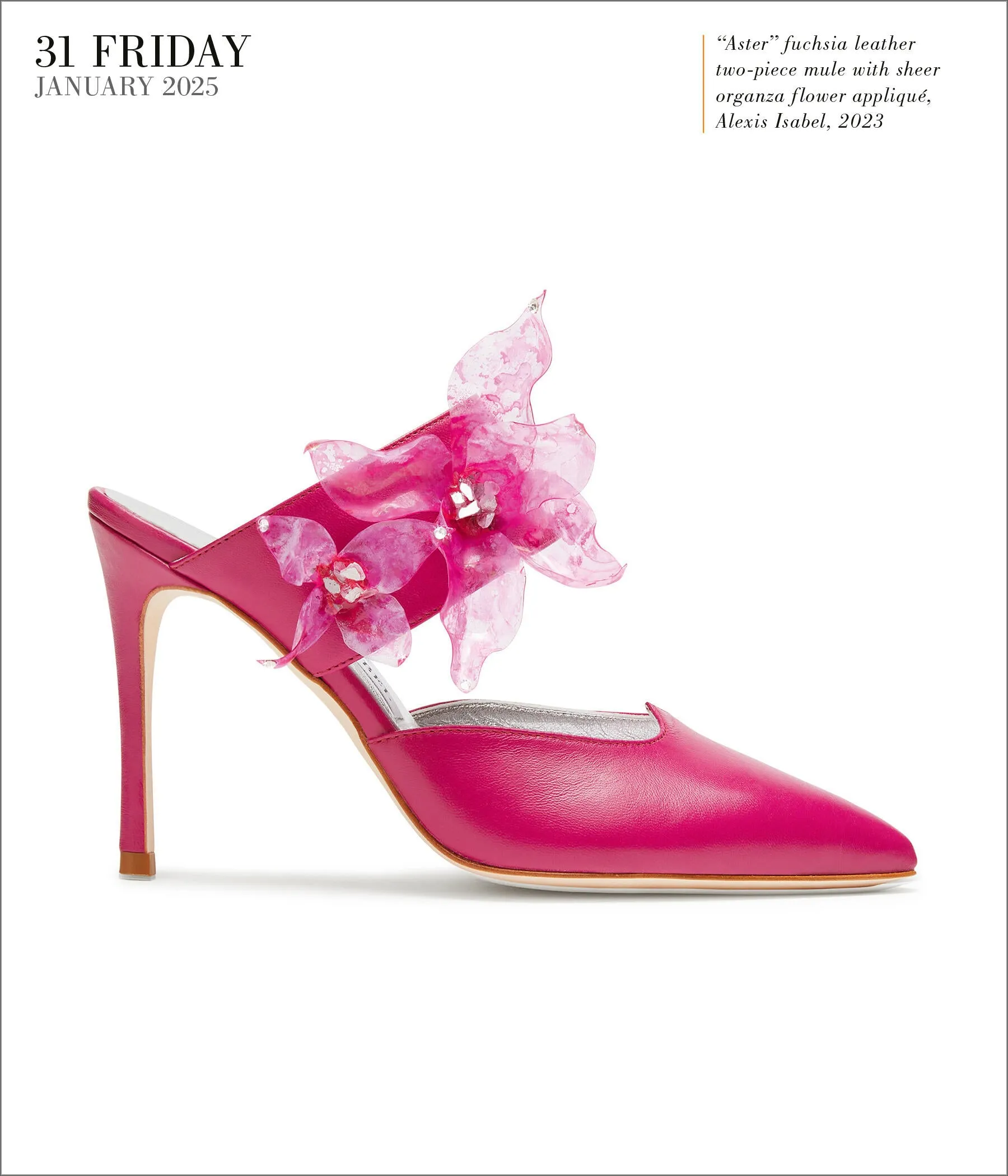 2025 Shoes Page-A-Day Gallery Calendar