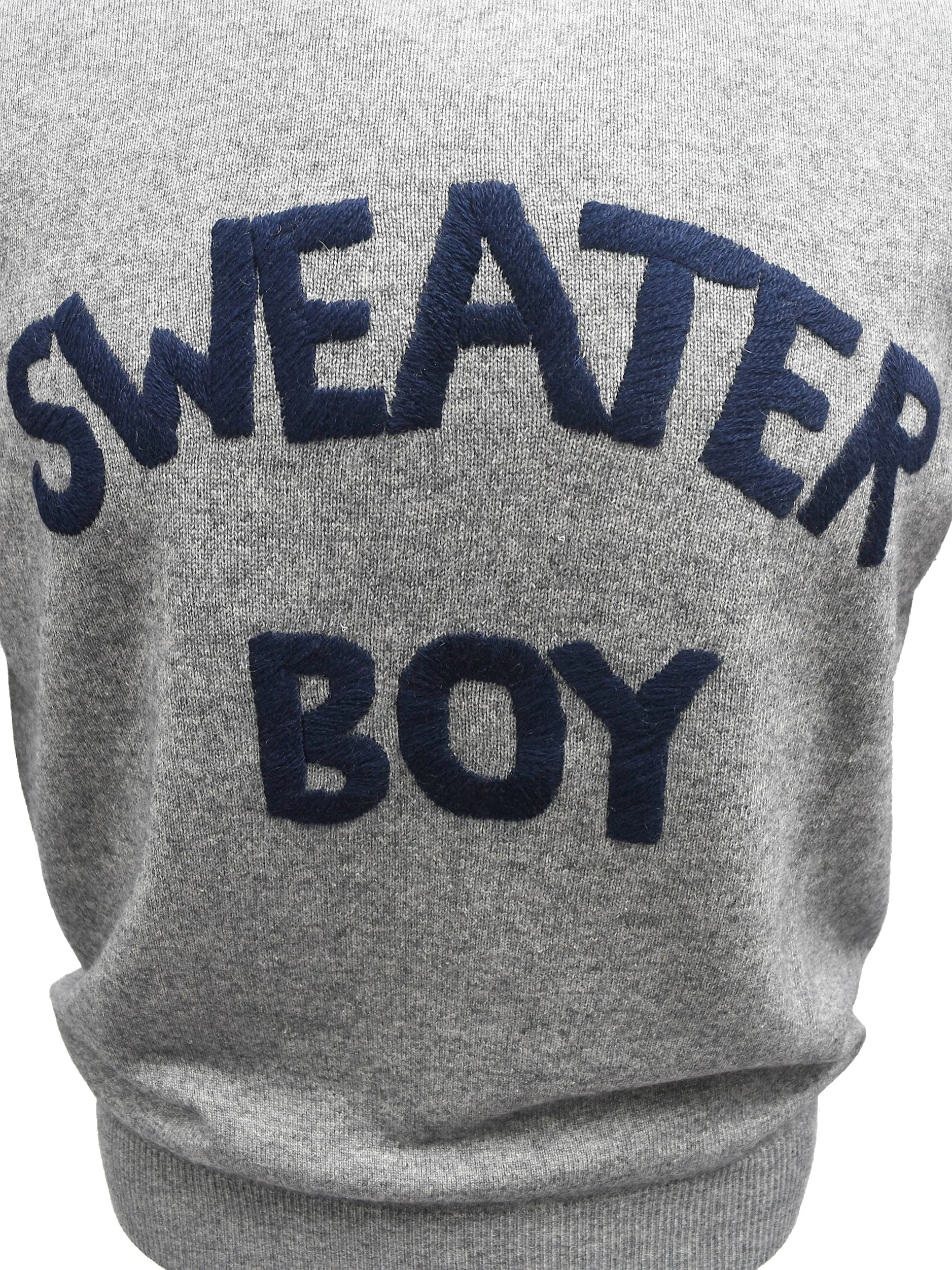 Sweater Boy Jumper In Grey